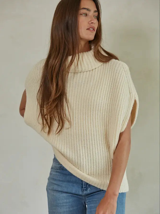 Knit Ribbed Turtleneck